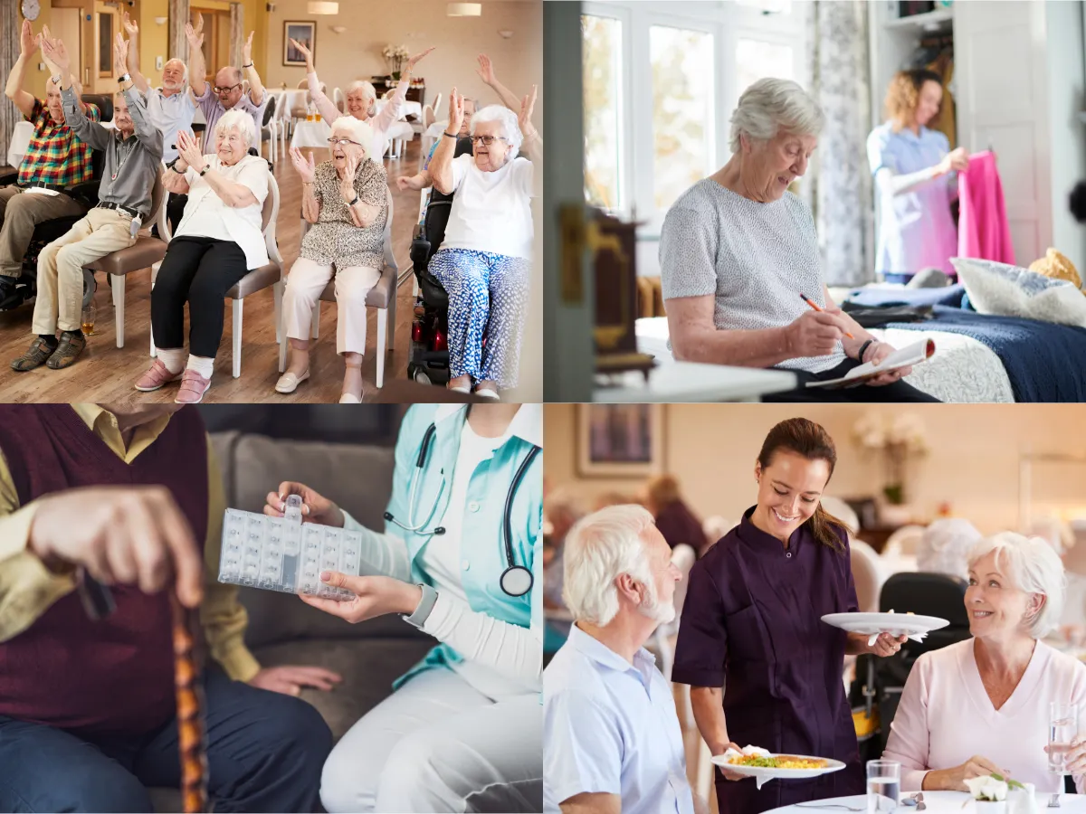 Life and activities at The Walnut Villa